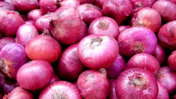 Problem of soaring onion prices almost gone as supply rises in Nashik Mandi
