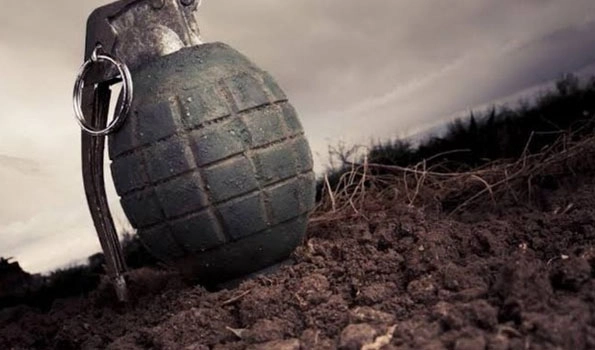 Bomb blast foiled after squad defuses live grenade in Kulgam
