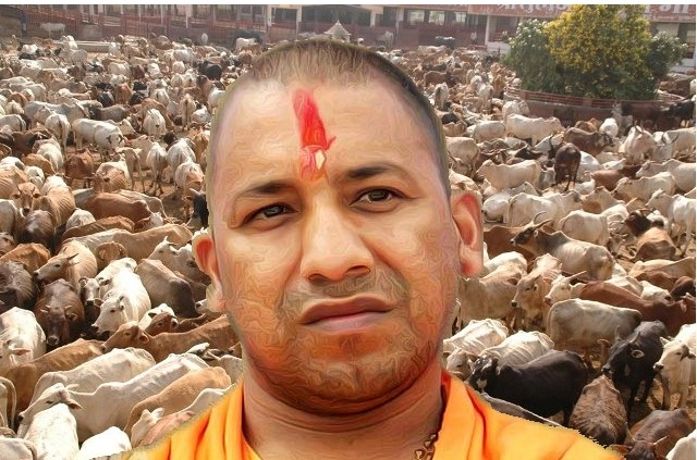 10 yrs imprisonment and 5 lakh fine for cow slaughter in UP