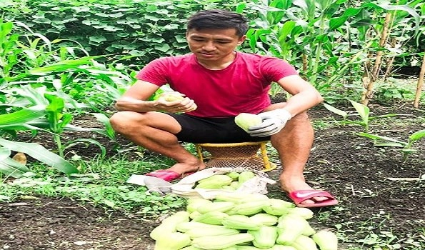 Organic farming keeps ex-India captain Gouramangi Singh 'fresh' during lockdown