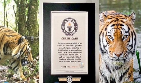 India's 2018 tiger census roars its way to Guinness World records