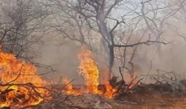 Devastating fire gutted properties tunes to lakhs in Chopal subdivision
