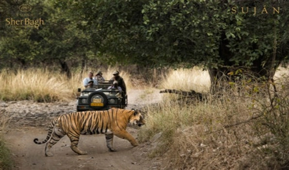 Sujan Sher Bagh, Ranthambhore wins the title of favourite safari lodge In India