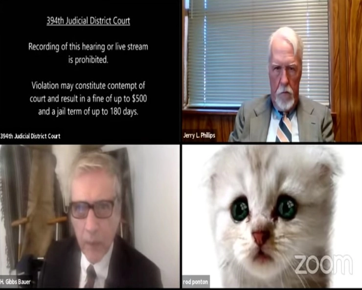 ‘I am not a cat’: Texas lawyer accidentally attends virtual hearing with Zoom cat filter on (Video)