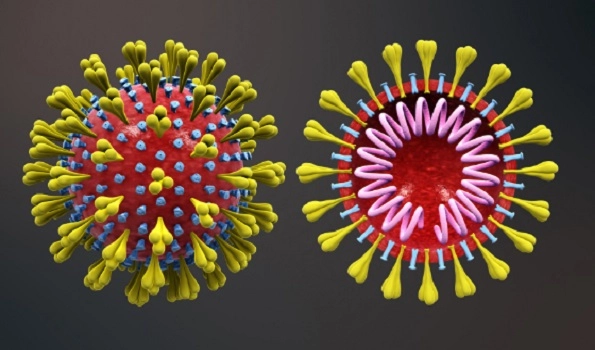 Origin of coronavirus pandemic remains unclear: US intelligence report