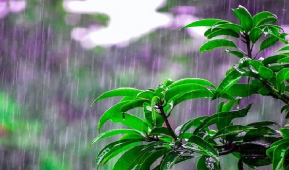 Monsoon to hit Kerala on June 1