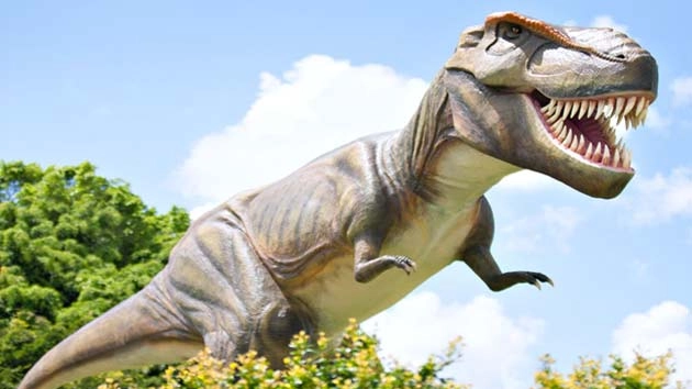 New 'gigantic' dinosaur species identified in Australia