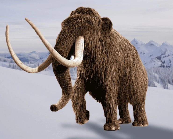 Biotech firm says it can resurrect extinct woolly mammoth