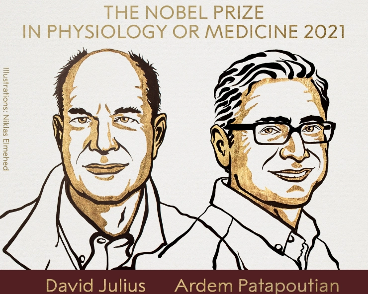 David Julius and Ardem Patapoutian win 2021 Nobel Prize in Medicine