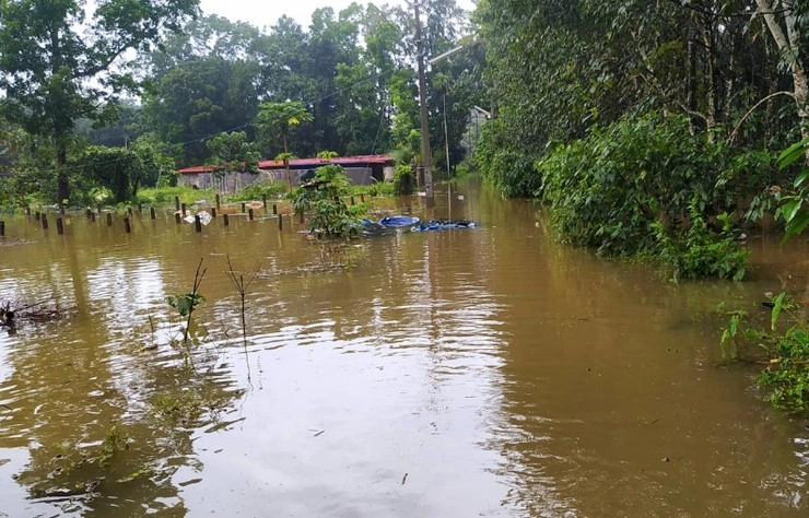 VIDEO: Flooding, landslides leave 35 dead in Kerala