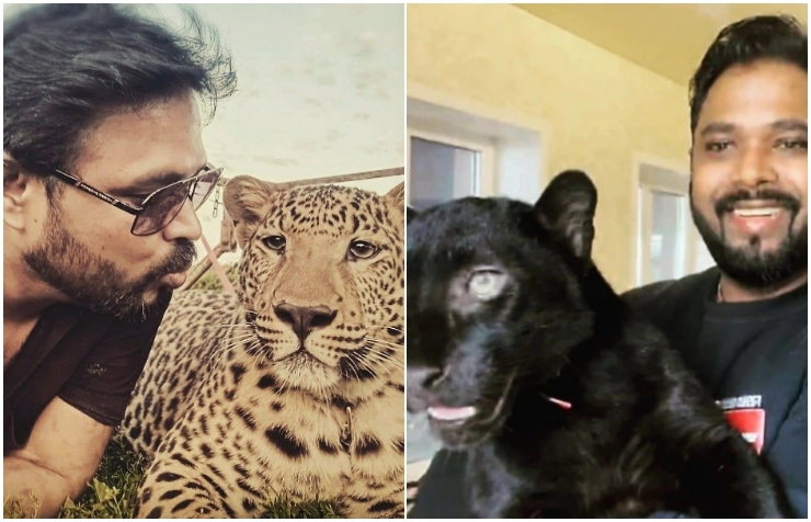 Jaguar Kumar: Indian doctor refuses to leave war-hit Ukraine without his pet jaguar and panther