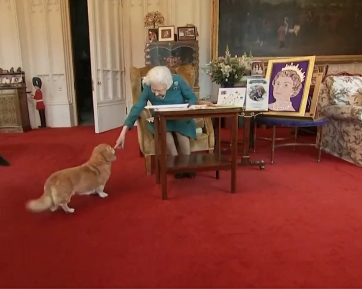 VIDEO: What will happen to Queen Elizabeth's beloved corgi dogs?
