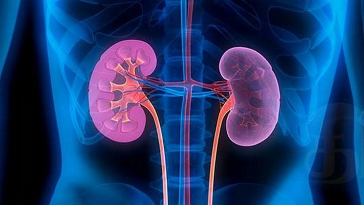 Google driven antibiotic choices ends in Kidney crisis