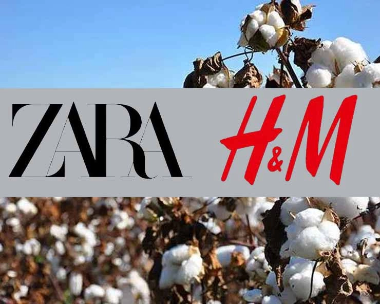Fashion giants Zara and H&M linked to deforestation in Brazil