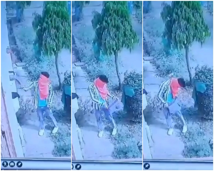 MP Gajab Hai! 'Chaddi Chor' gang caught stealing women's underwear from balcony; CCTV footage goes viral