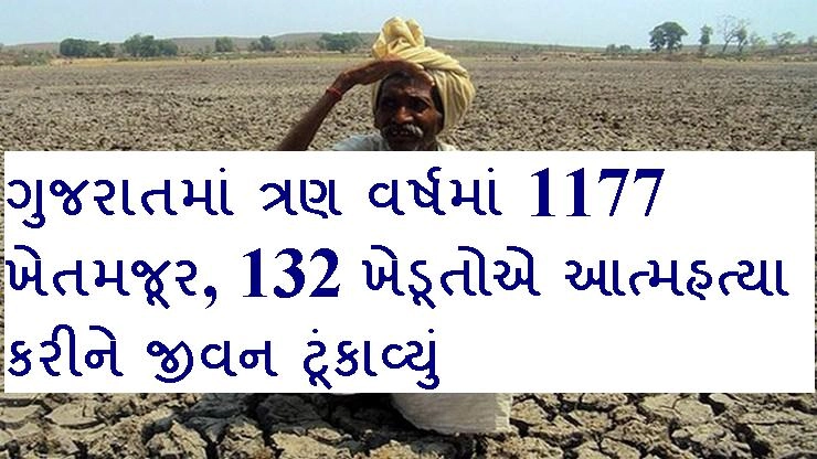 ગુજરાતમાં ત્રણ વર્ષમાં 1177 ખેતમજૂર, 132 ખેડૂતોએ આત્મહત્યા કરીને જીવન ટૂંકાવ્યું