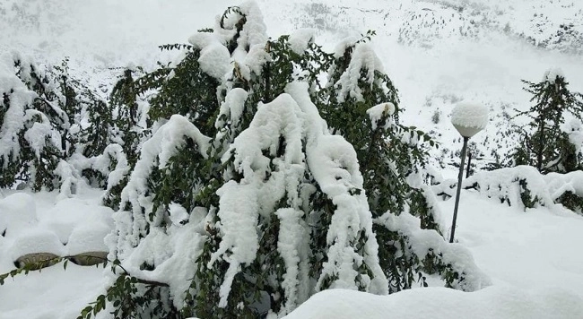 Snowfall- ઉત્તર ભારતના ઉતરાખંડ અને જમ્મૂ કશ્મીરમાં ભારે હિમવર્ષા