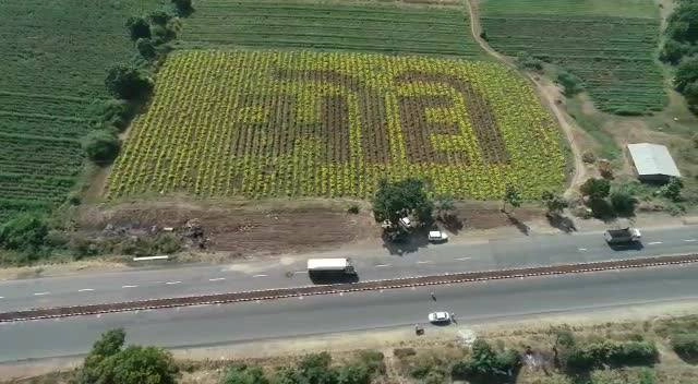 ગુજરાતી ખેડૂતે ખેતરમાં પીળા ગલગોટાની વચ્ચે લાલ ફૂલો દ્વારા ‘મોદી’ લખ્યું
