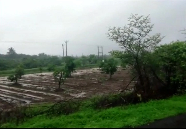 ગુજરાતમાં આગામી દિવસોમાં ભારે વરસાદની સંભાવના નહિવત્‌