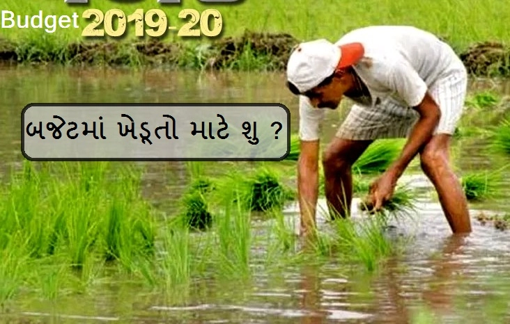 Agriculture Budget 2019: 1.95  કરોડ ઘર, ખેડૂત અને ગામ માટે બજેટમાં શુ છે ખાસ જાણો