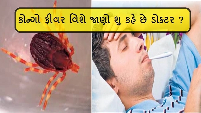 રાજ્યમાં કોન્ગો ફીવર લઇને તંત્ર થયું એલર્ટ, ભારતમાં સૌ પ્રથમવાર ગુજરાતમાં ૨૦૧૧માં જોવા મળ્યો હતો આ રોગ