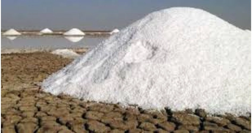ટ્રેડવોરથી કચ્છનો મીઠા ઉદ્યોગ બેહાલ: 60 લાખ ટનનો જંગી ભરાવો