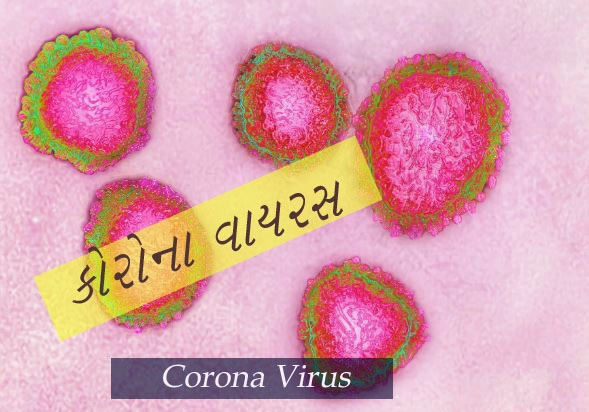Corona Virus- ચામાચિડીયા ખાઈને આ છોકરીએ દુનિયામાં ફેલાવયો કોરોના વાયરસ? શું છે સચ્ચાઈ