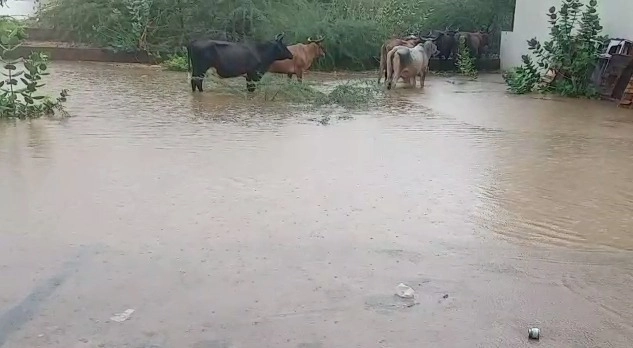 ગુજરાતનાના 16 જિલ્લામાં વરસાદ, માંડવીમાં 2 કલાકમાં 4 ઇંચ, કલ્યાણપુરામાં 6.7 ઇંચ વરસાદ