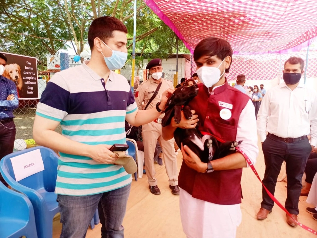 ગુજરાતમાં અહીં શરૂ થયો પાલતૂ પ્રાણીઓ માટે પેટ પાર્ક, પેટ કેફે સહિત આવી છે સુવિધાઓ