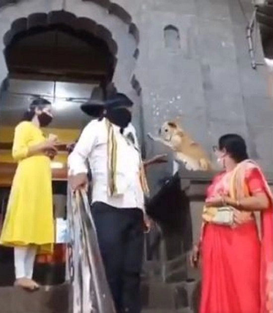 અહી લોકો કૂતરા પાસેથી મેળવી રહ્યા છે આશીર્વાદ - Viral Video