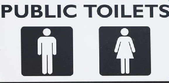 Public Toilets Door Height: પબ્લિક ટોયલેટસના બારણા નીચેથી નાના શા માટે હોય છે? કારણ જાણીને ચકરાવી જશો
