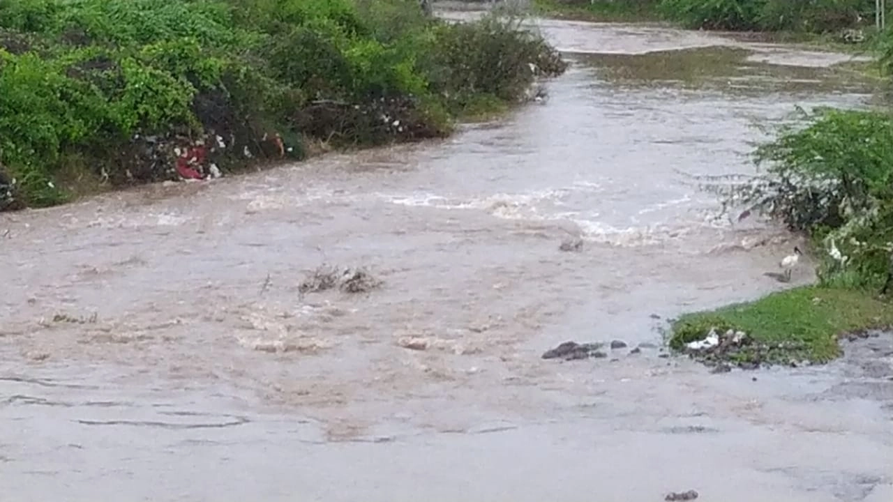 ગુજરાતમાં મેઘ તાંડવ: 24 કલાકમાં 190 તાલુકામાં વરસાદ, ઉપરાડામાં 8.5 ઇંચ ખાબક્યો