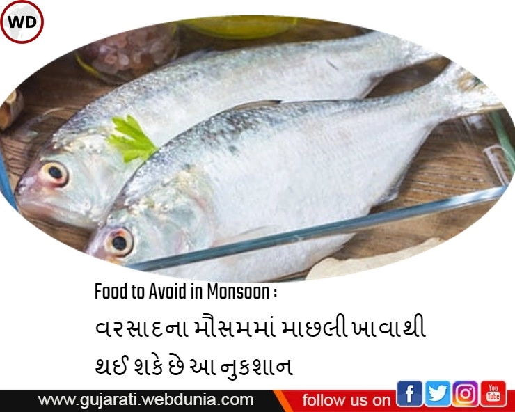 Food to Avoid in Monsoon : વરસાદમાં માછલી ખાવાથી થઈ શકે છે આ નુકશાન
