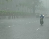 ગુજરાતના અનેક વિસ્તારોમાં કમોસમી વરસાદ, 2 દિવસ યથાવત રહેશે ઠંડીનો કહેર, જાણો અપડેટ