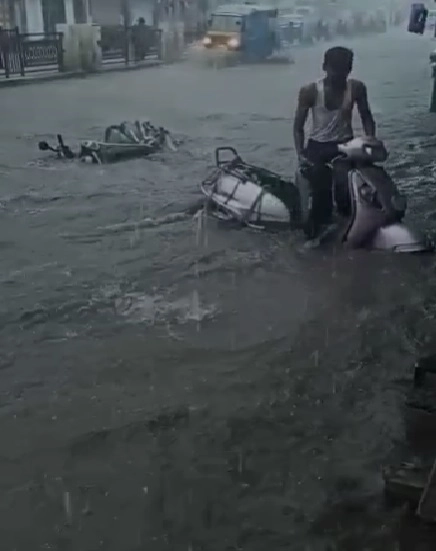 ડેડિયાપાડામાં12 કલાકમાં જ 18 ઇંચ વરસાદ; નવીનગરીમાંથી 300થી વધુ લોકોને સલામત સ્થળે ખસેડાયા