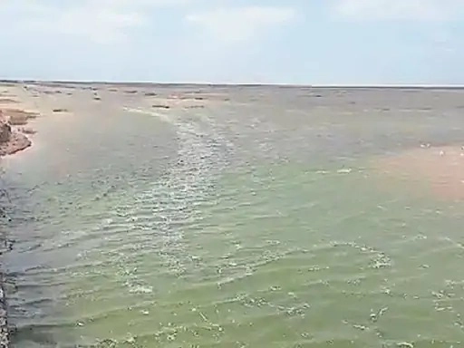Desert of Kutch, fears that water will enter the surrounding