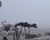 Hurricane Ian: ફ્લોરિડામાં ભયંકર ચક્રવાતી તોફાનથી  વહી ગયું ઘર, લાઈવ કરતી વખતે ટીવી રિપોર્ટર ઉડી ગયા, તસવીરોમાં જુઓ તબાહી