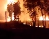 ચિલીના જંગલોમાં લાગેલી આગથી 13 લોકોના મોત, 14 હજાર હેક્ટરનો વિસ્તાર બળીને રાખ