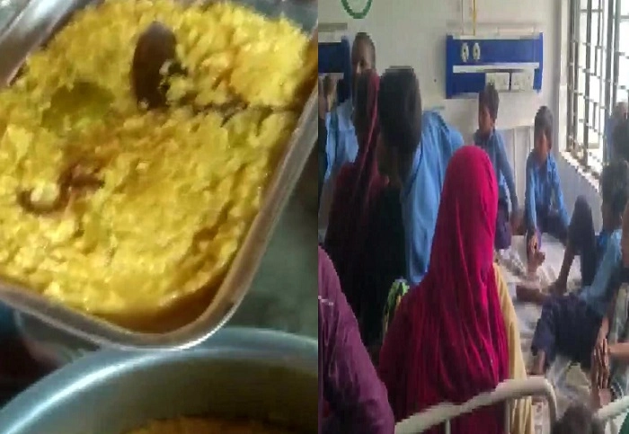 snake in midday meal of a government school