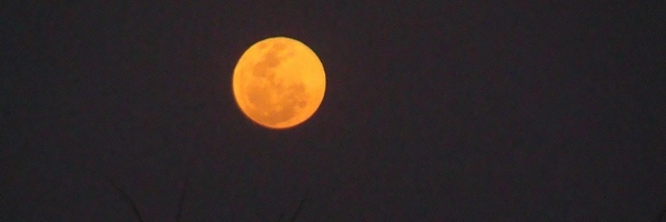 उल्टा चांद महज एक अफवाह - Reverse moon, rumor, scientific,