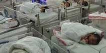 पश्चिम बंगाल में 11 शिशुओं की अस्पताल में मौत - Malda Hospital infant death