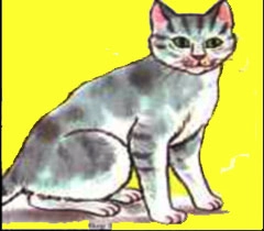 मनोरंजक कविता : बिल्ले से बोली बिल्ली