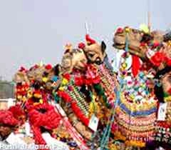ऊंट, घोड़ों की दौड के बीच पुष्कर मेला शुरू - Pushkar Fair in Rajasthan