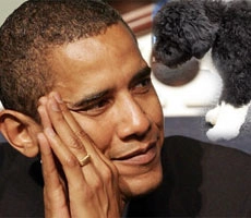 ओबामा से प्रभावित होंगी पार्सल, कोरियर सेवाएं - Barack Obama India Visit