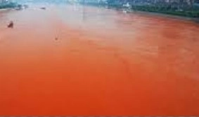 लाल हुआ गंगा का पानी, बिना डुबकी लगाए लौटे श्रद्धालु - Ganga, Sangam