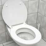 टॉयलेट सीट पर पढ़ना खतरनाक - Toilet seat