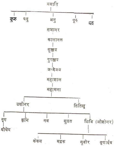 आर्यो के पांच कुल में से दो अनु और द्रुहु का वंश... - Aryan lineage