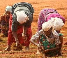 भूमि अधिग्रहण पर किसानों को मिलेगा 5 गुना मुआवजा - Land acquisition