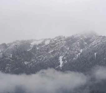 उत्तराखंड में चौथा हिमपात, कड़ाके की ठंड... - Snowfall in Uttarakhand