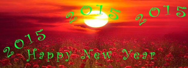 साल भर आता है नया साल, जानिए 2015 के अनोखे नववर्ष - Happy New Years in 2015